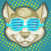 Husky's Photo