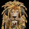 LionKing's Photo